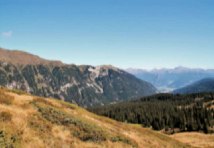 Land und Forst Betriebe Österreich