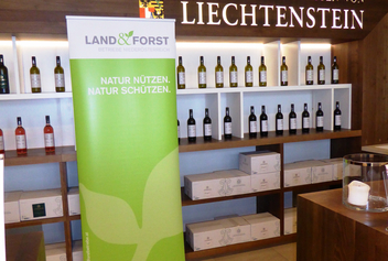 Vollversammlung und Herbstempfang